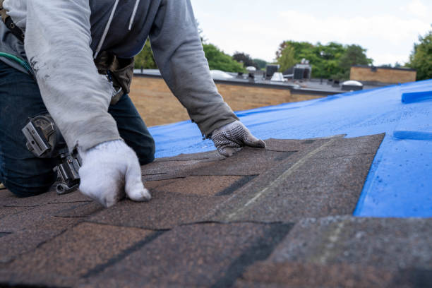 Professional Roofing Contractor in Casa De Oro Mount Helix, CA